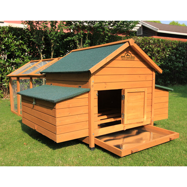 Tucker Murphy Pet™ Pets Imperial® Double Savoy Chicken Coop with 2 Nest